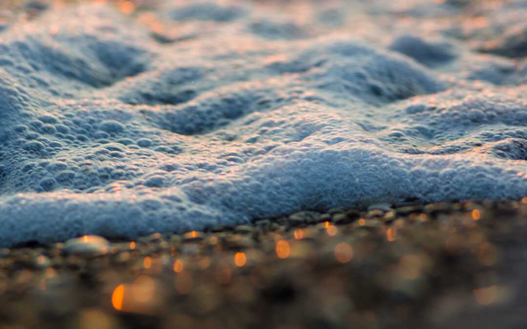 Automatische schuimblusinstallatie Sevesobedrijf Tanatex in werking